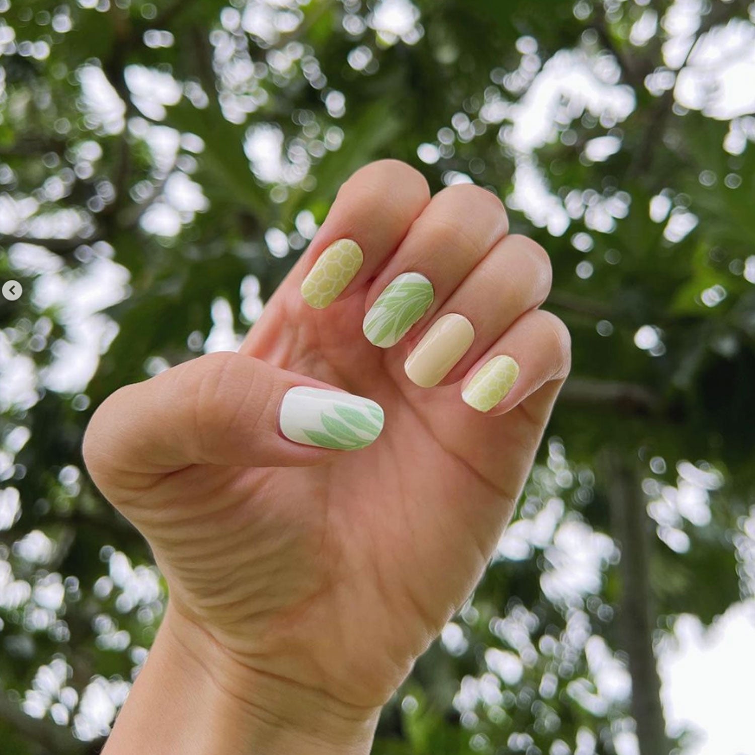 Long-Lasting Gel Nail Strips - ʻĀina Inspired Breadfruit Design