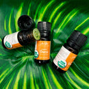 Organic ʻŌlena Turmeric Soothing Essential Oil