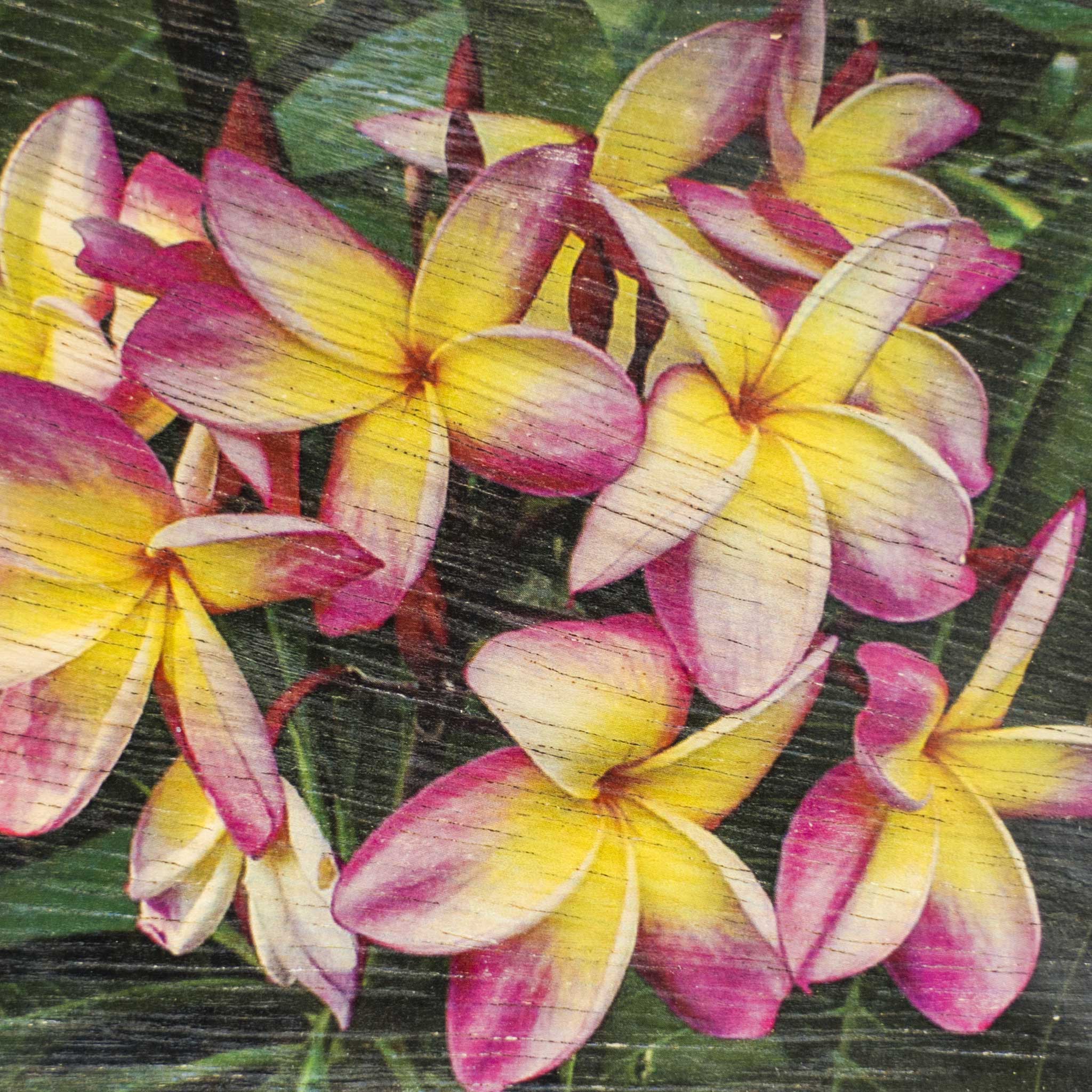 Koa Wood Veneer Handmade Postcard - Plumeria
