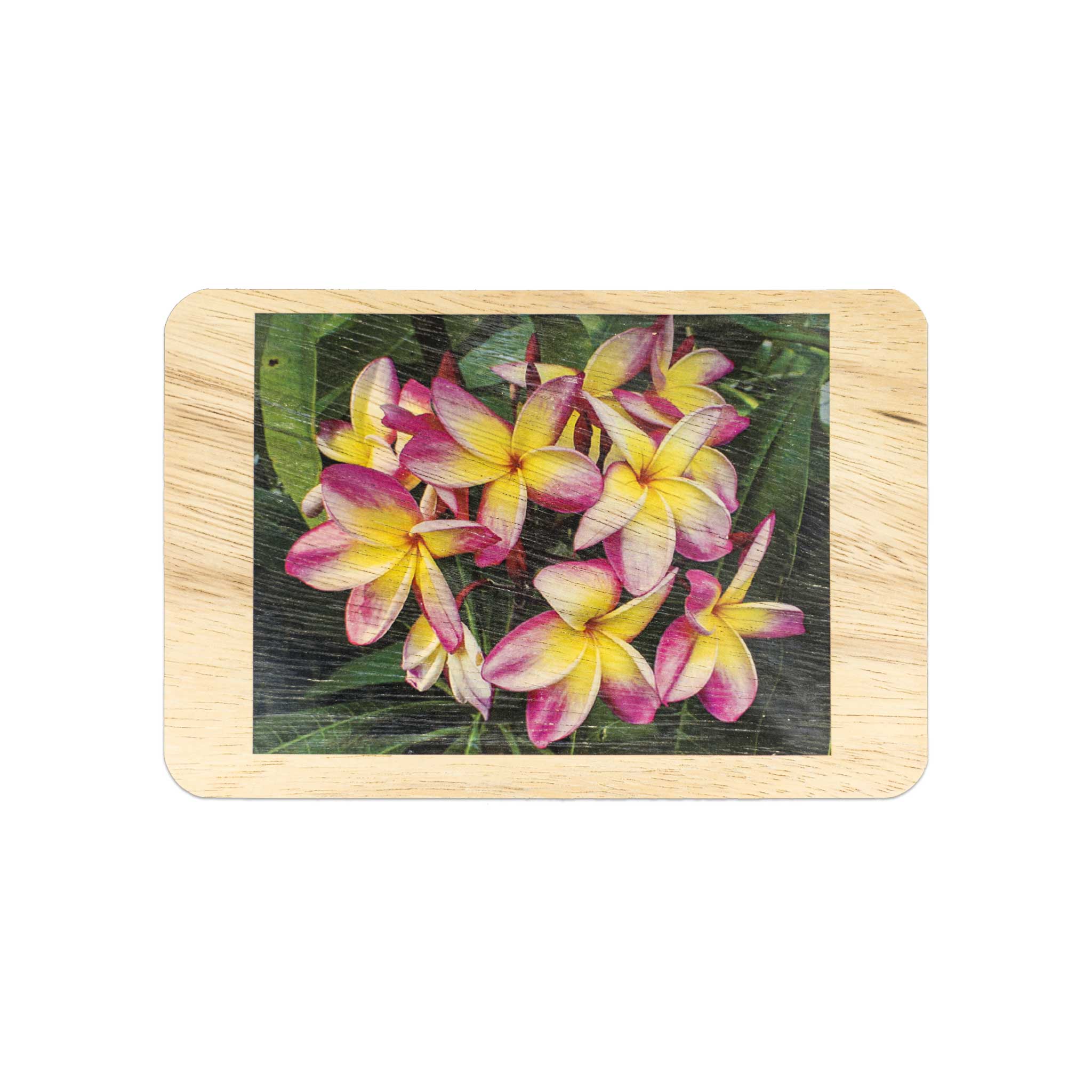 Koa Wood Veneer Handmade Postcard - Plumeria