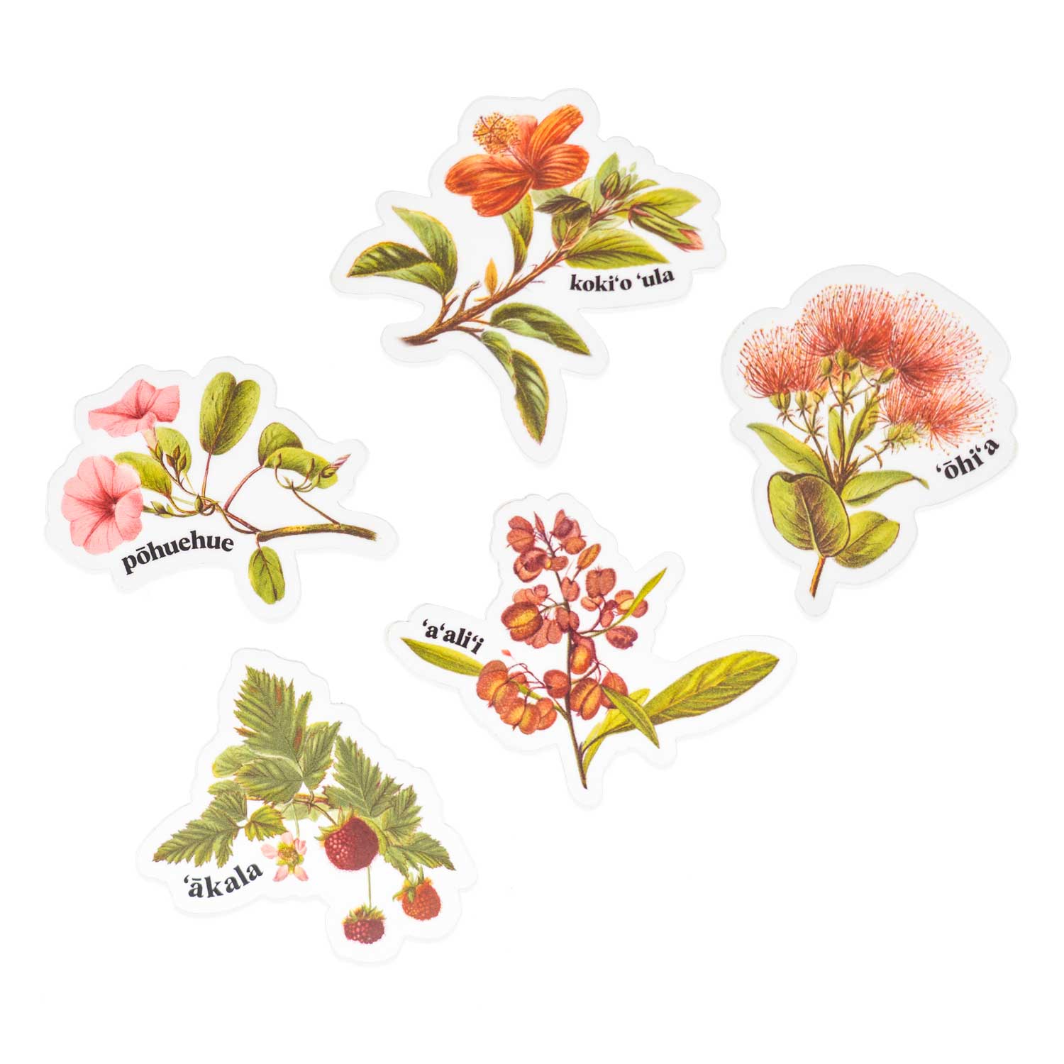 Native Pua Sticker Pack - ‘A‘ali‘i / ʻĀkala / Kokio / ʻŌhiʻa / Pōhuehue