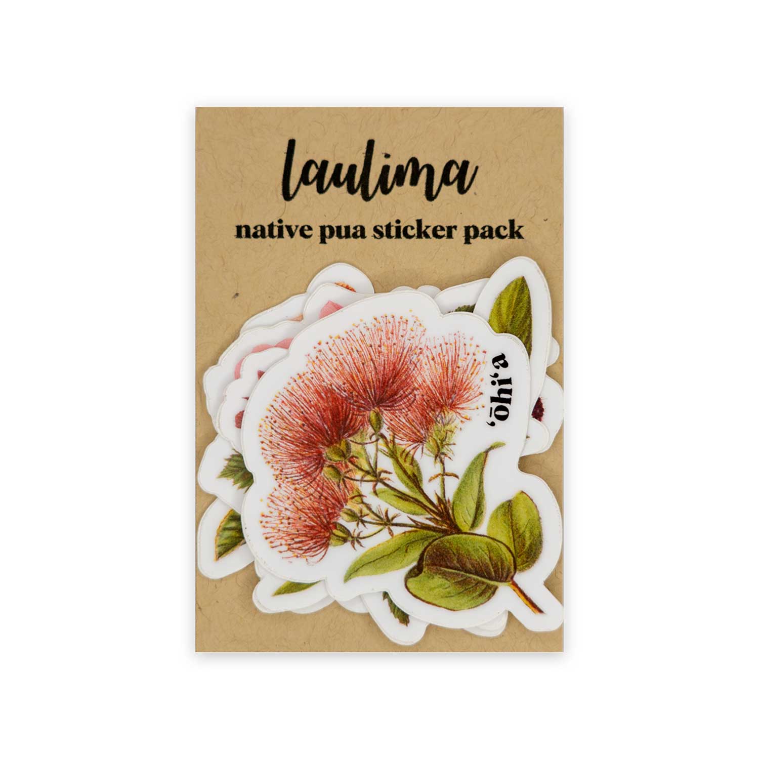 Native Pua Sticker Pack - ‘A‘ali‘i / ʻĀkala / Kokio / ʻŌhiʻa / Pōhuehue