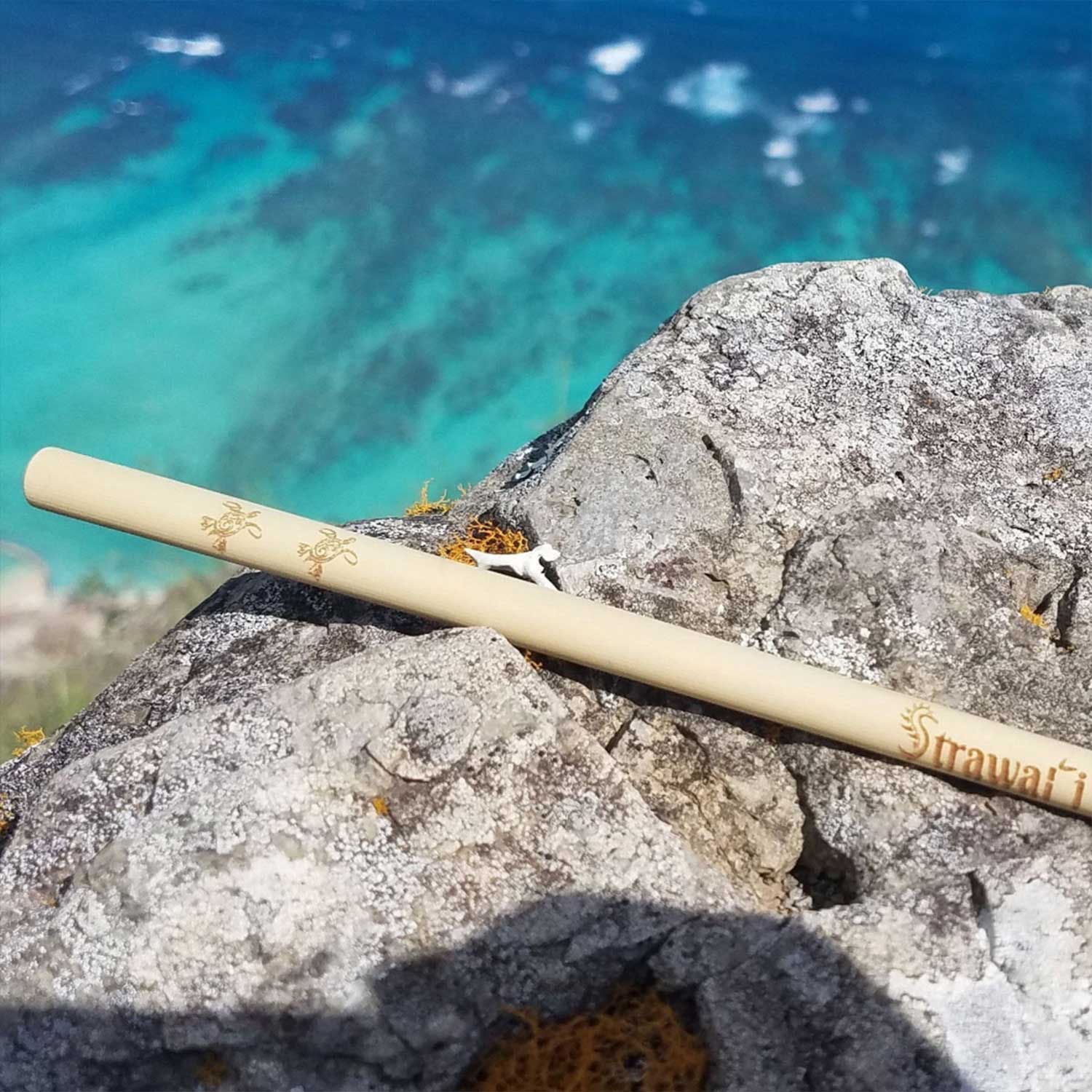 Engraved Bamboo Reusable Straw & Cleaner - Turtle