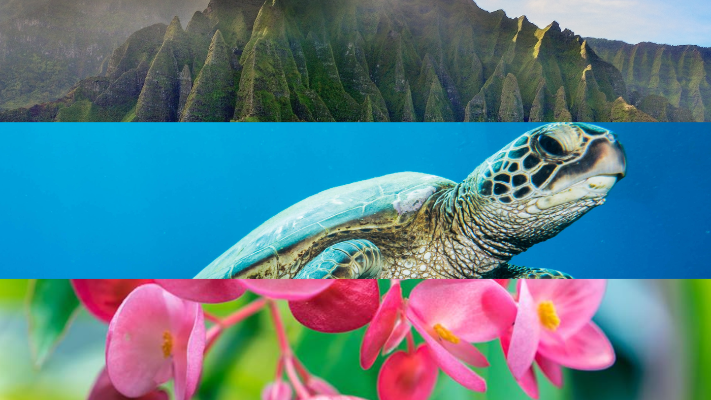 Protecting Hawaiʻi: Embracing Sustainability for Future Generations