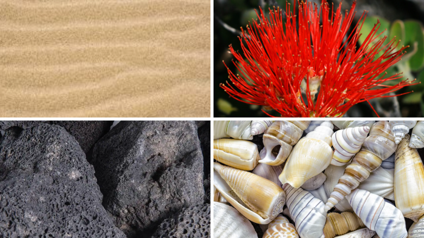 Hawai’i Souvenir Faux Pas: 5 Things That'll Haunt You (And Your Luggage)